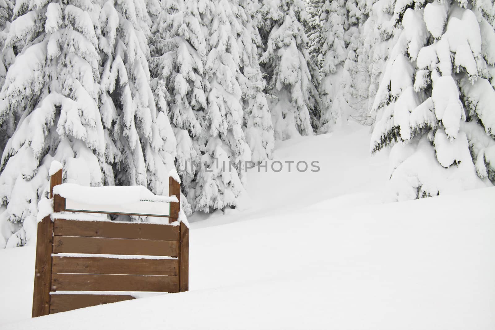 Fir trees with lots of snow and a sign on left, horizontal