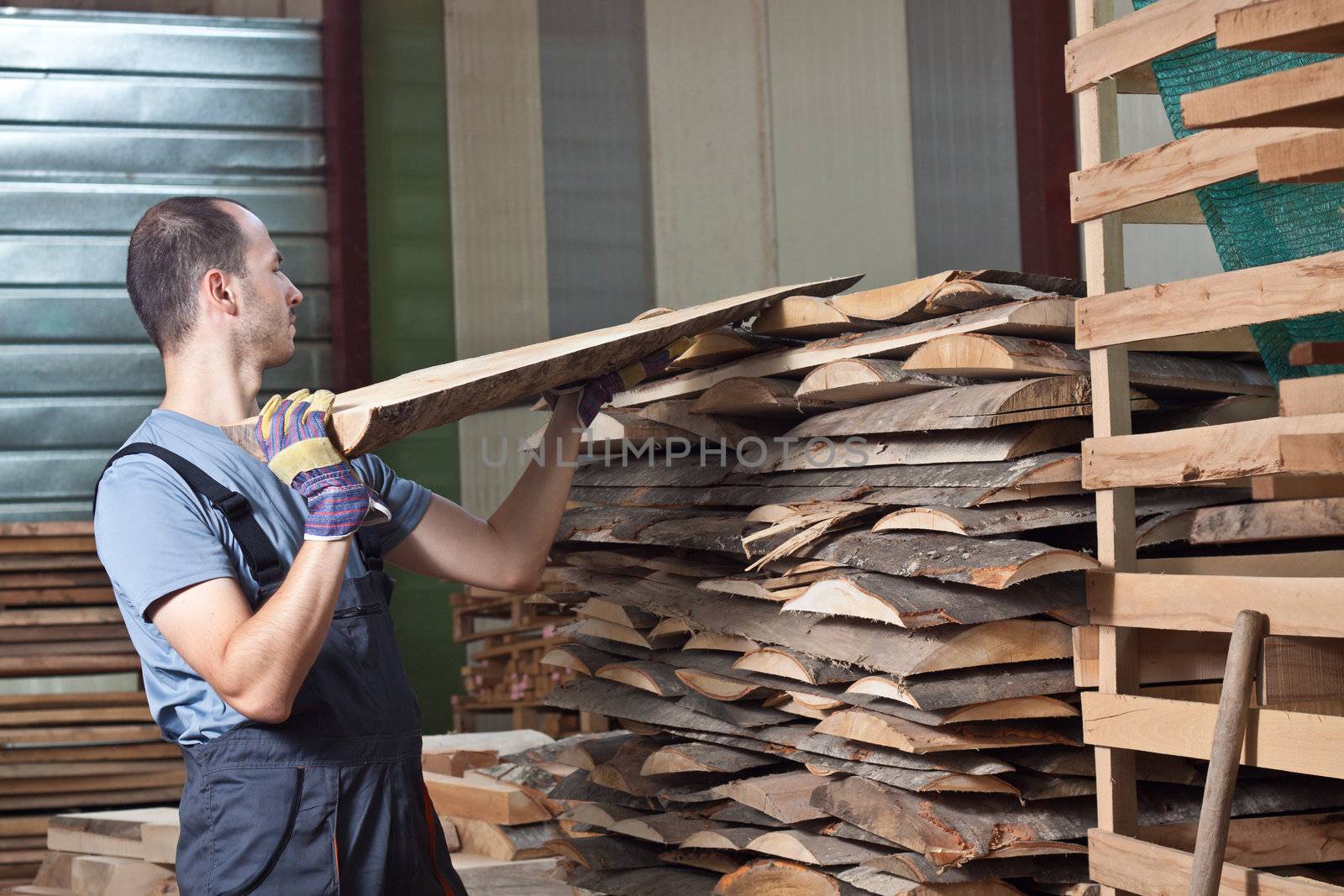 Man arraging beech planks in a warehouse. Horizontal shot.