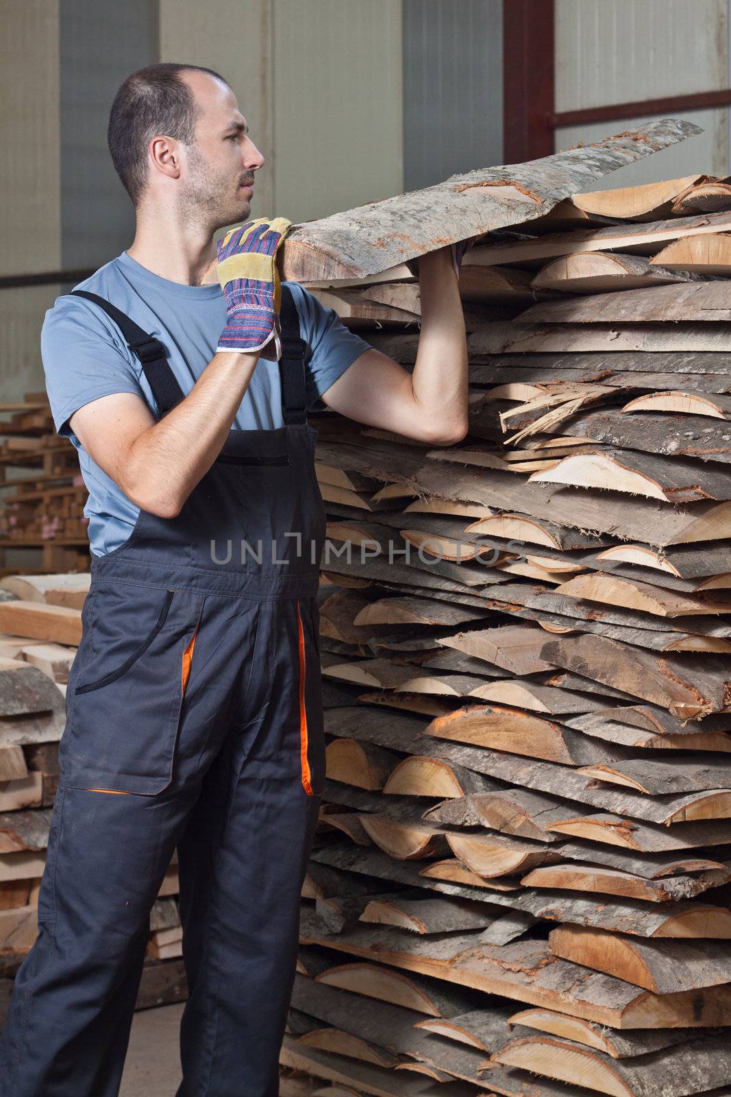 Man arraging beech planks in a warehouse. Vertical shot.