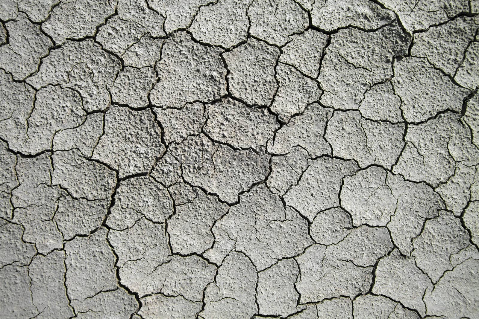 Dry cracked soil by Lamarinx