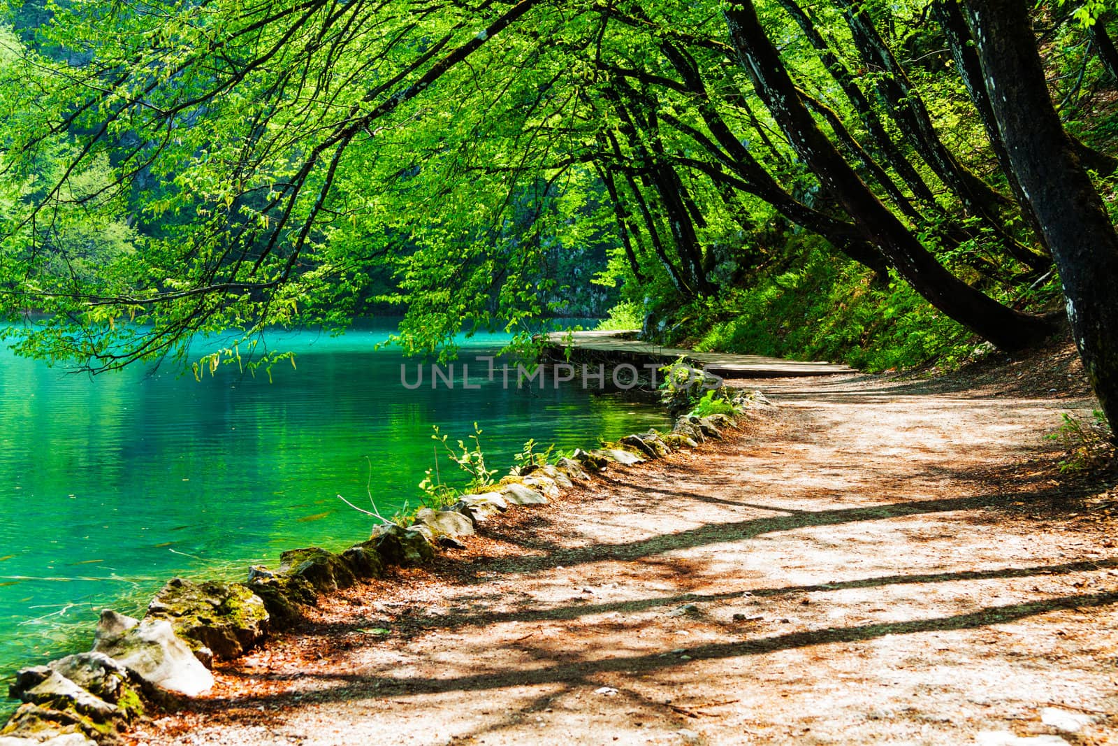 Path near a forest lake in Plitvice Lakes National Park, Croatia by Lamarinx