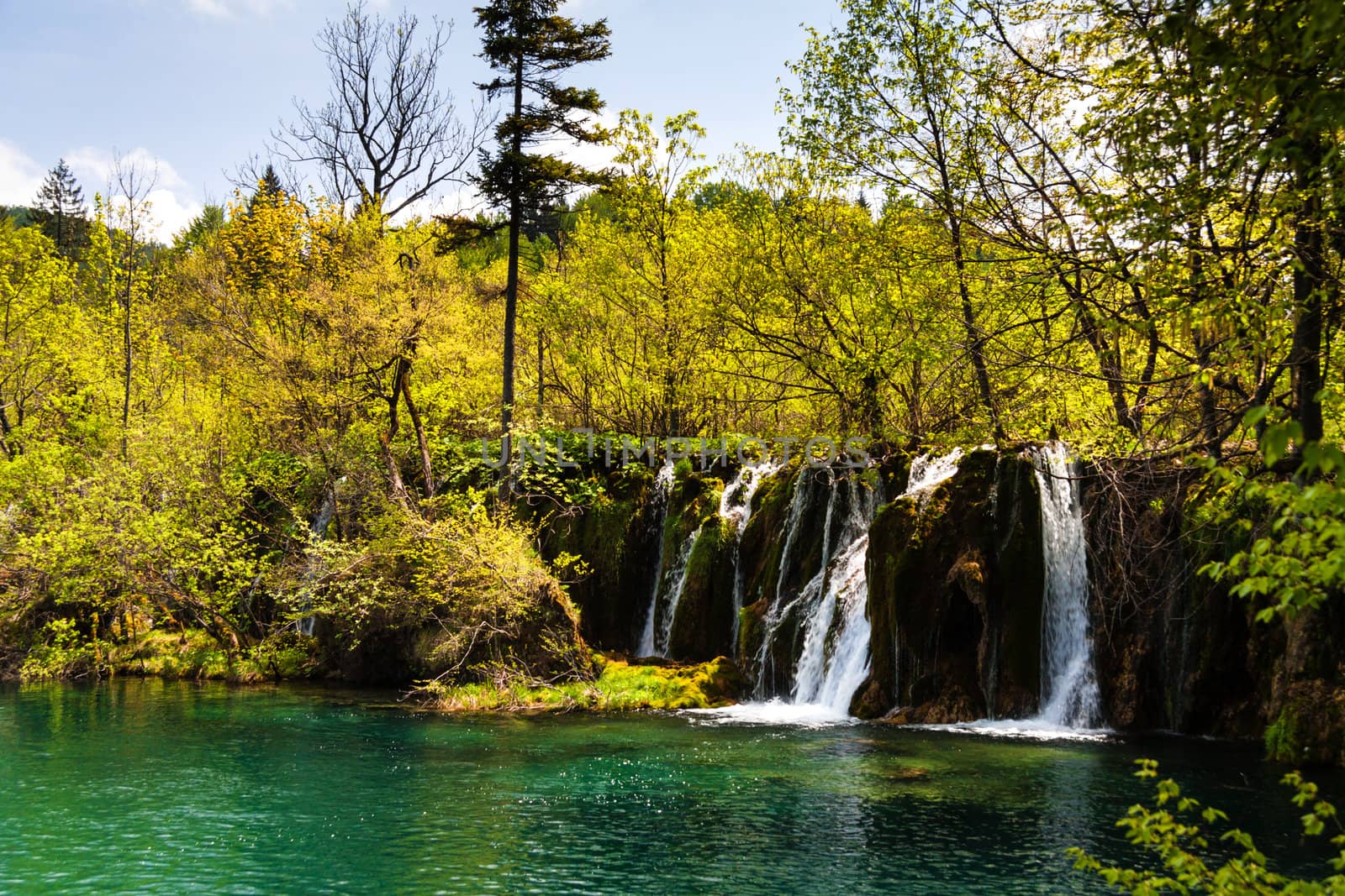 Forest waterfalls, shot at Plitvice lakes national park, Croatia.