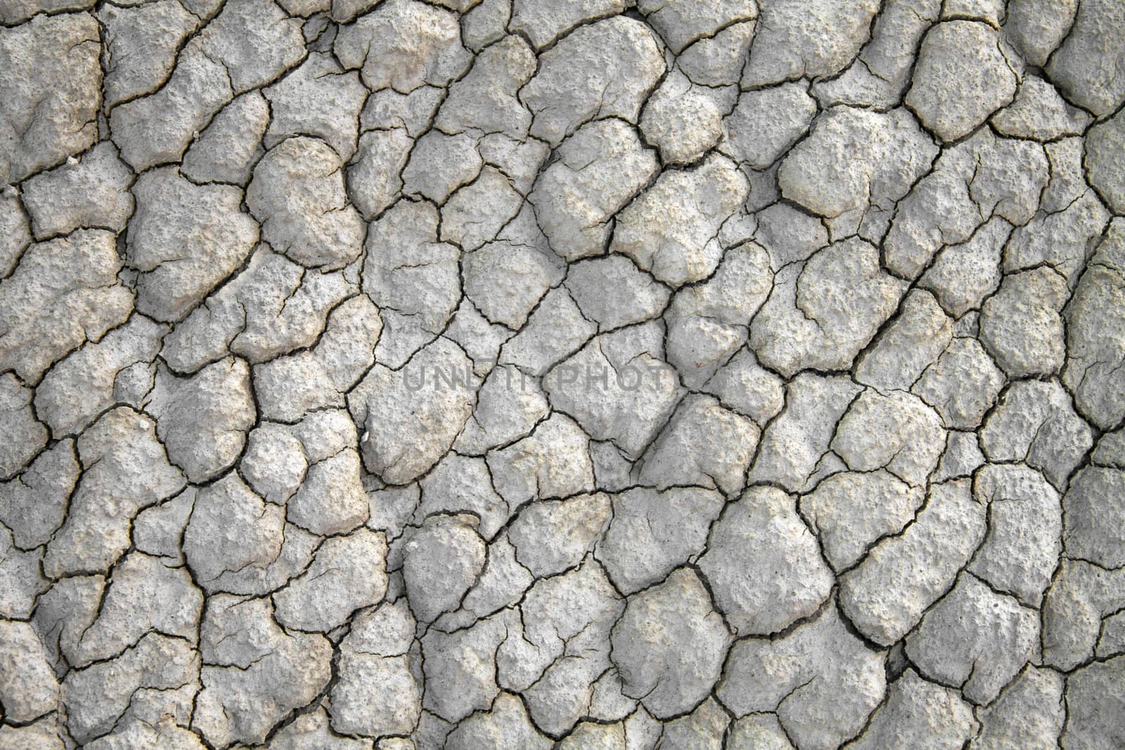 Dry cracked land by Lamarinx