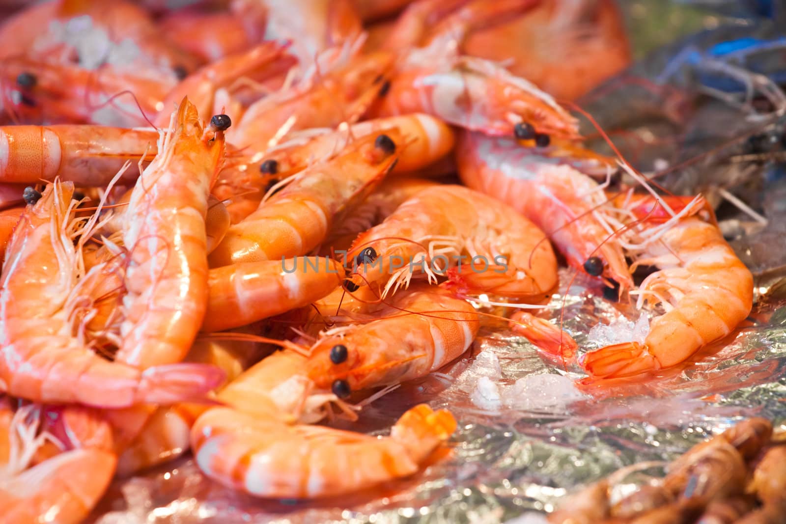 Shrimps on a fish market, horizontal shot