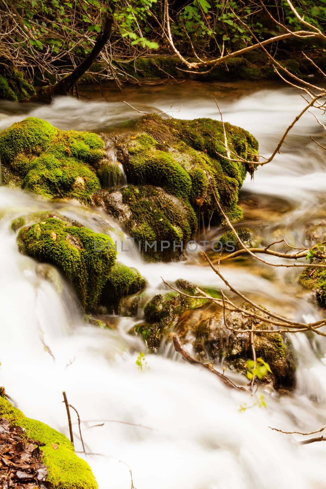 Small forest cascade vertical shot, Krka national park, Croatia by Lamarinx