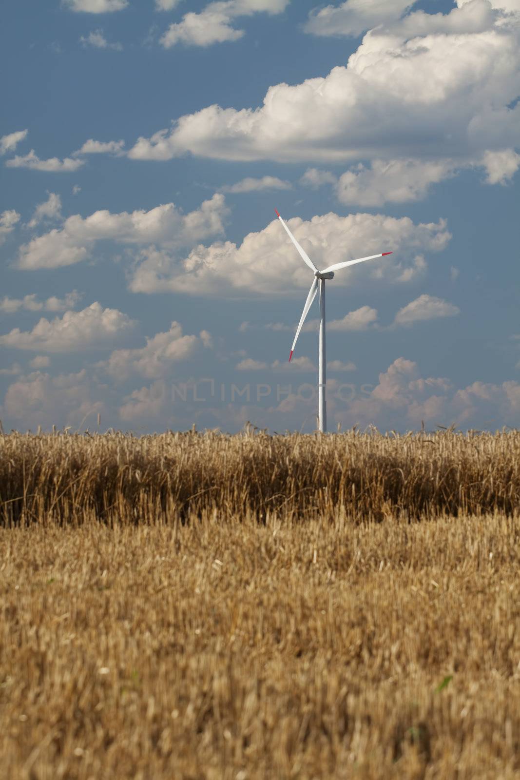 Wind power generator in a wheat field by Lamarinx