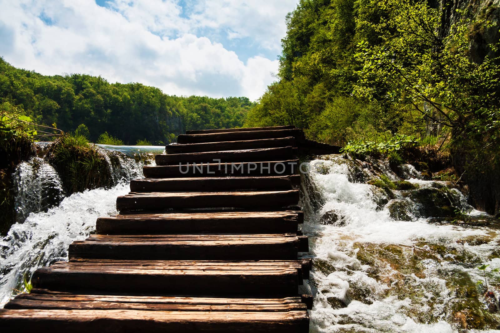 Wet wooden stairs with whitewater and forest by Lamarinx