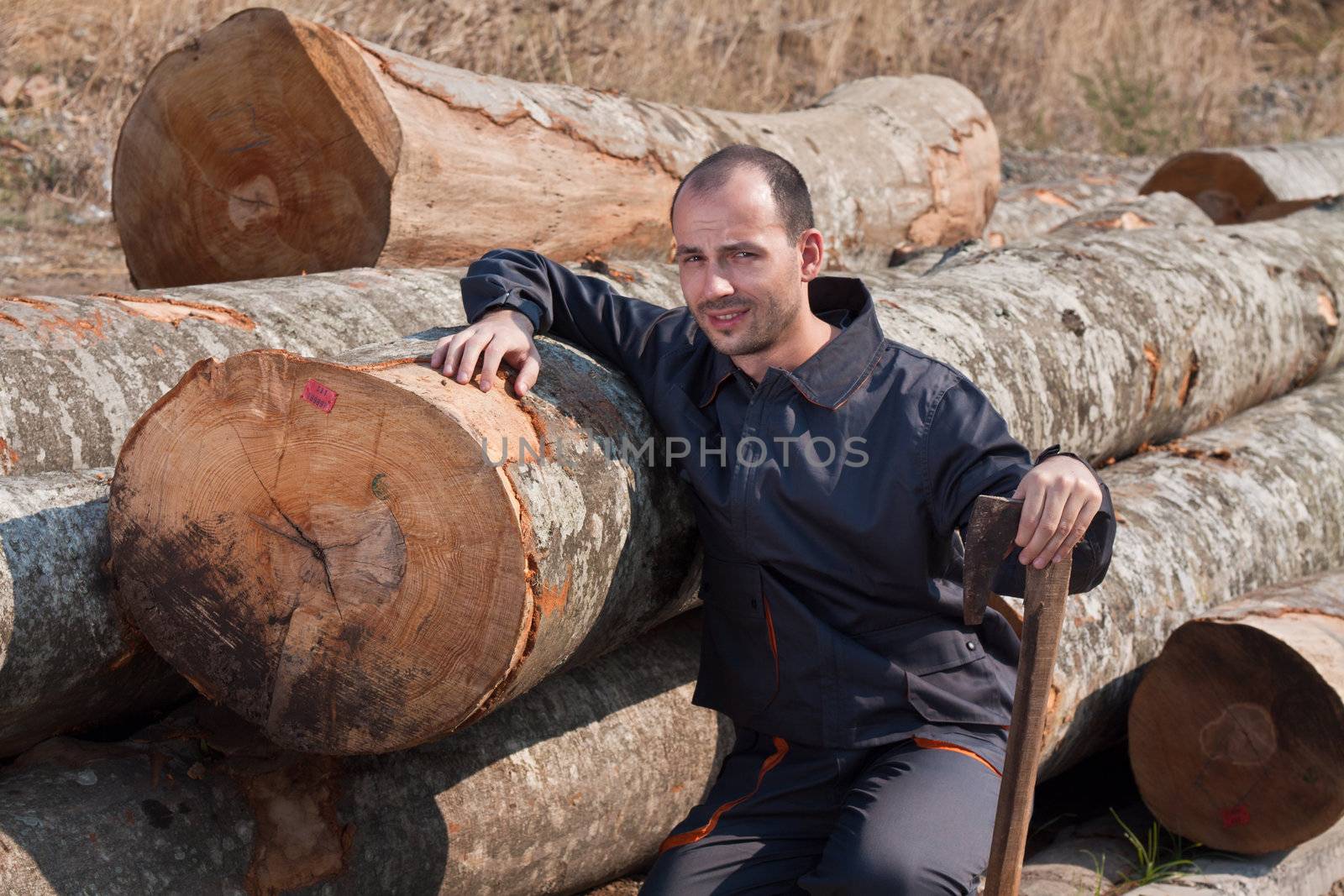 Woodcutter with an axe and a pile of beech logs. Horizontal shot.