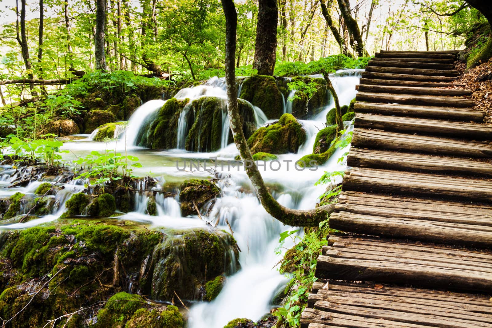 Wooden track near a forest waterfall in Plitvice Lakes National  by Lamarinx