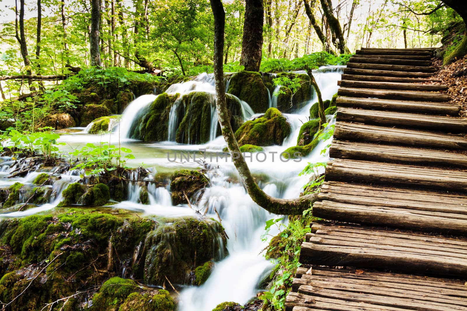 Wooden track near a forest waterfall in Plitvice Lakes National Park, Croatia