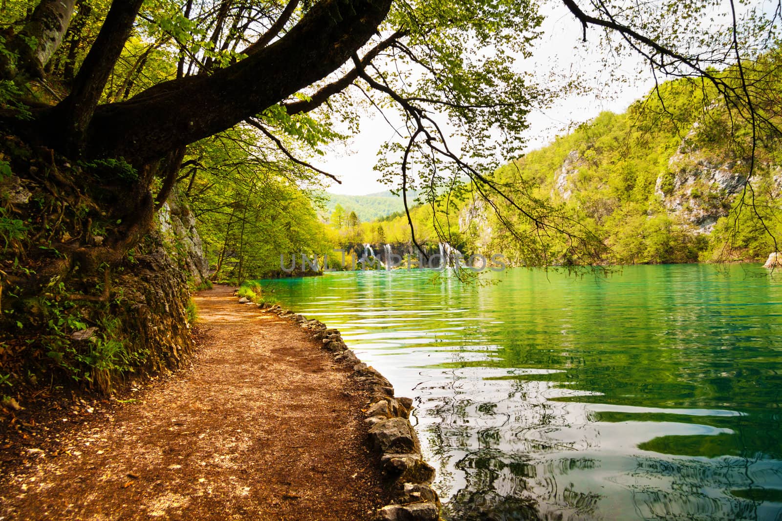 Beaten track with sunshine near a forest lake by Lamarinx