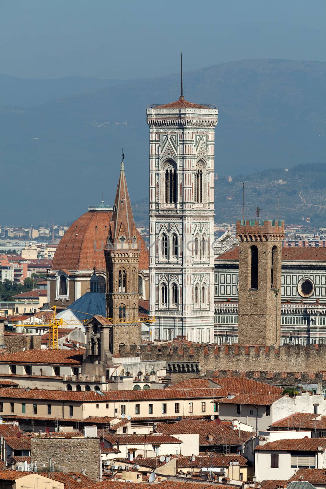  Florence,Tuscany, Italy .  View from the Michelangelo's Piazza 