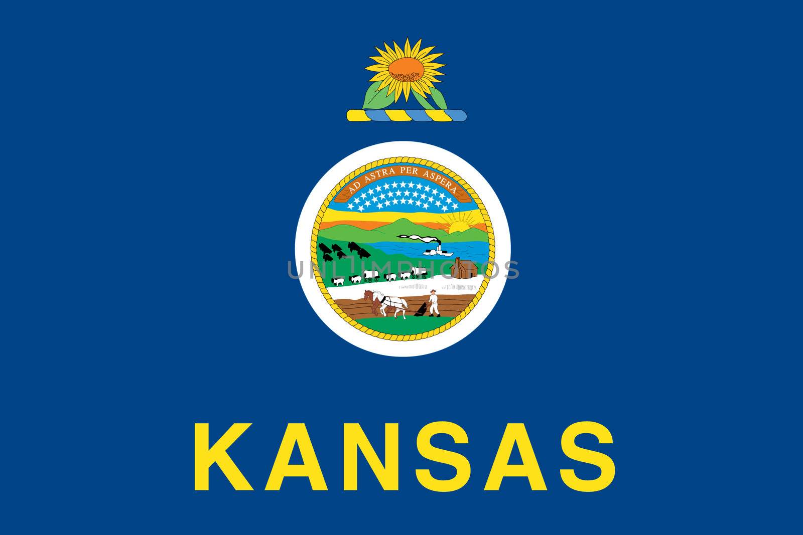 Flag of the American State of Kansas by DragonEyeMedia