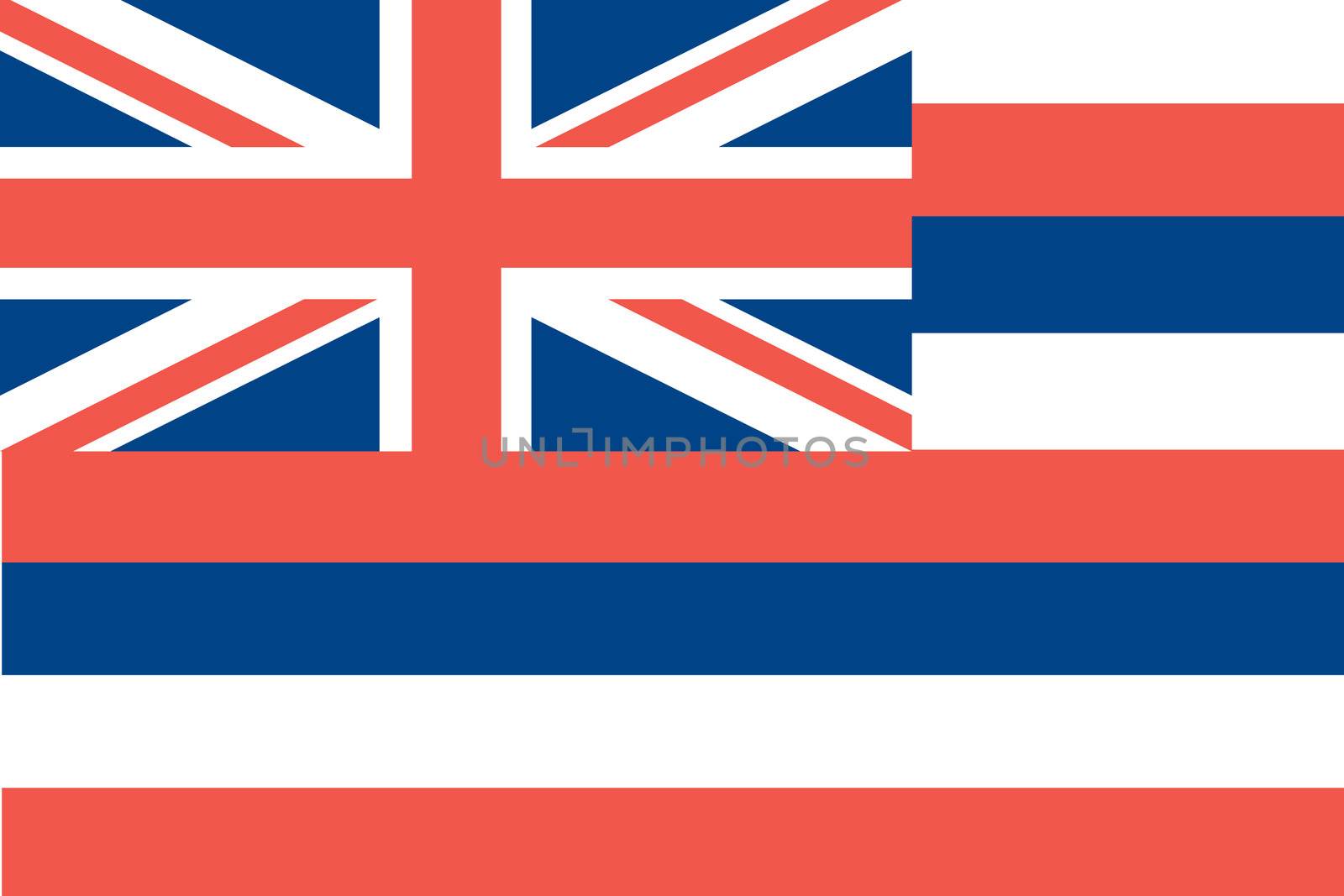 Flag of the American State of Hawaii by DragonEyeMedia