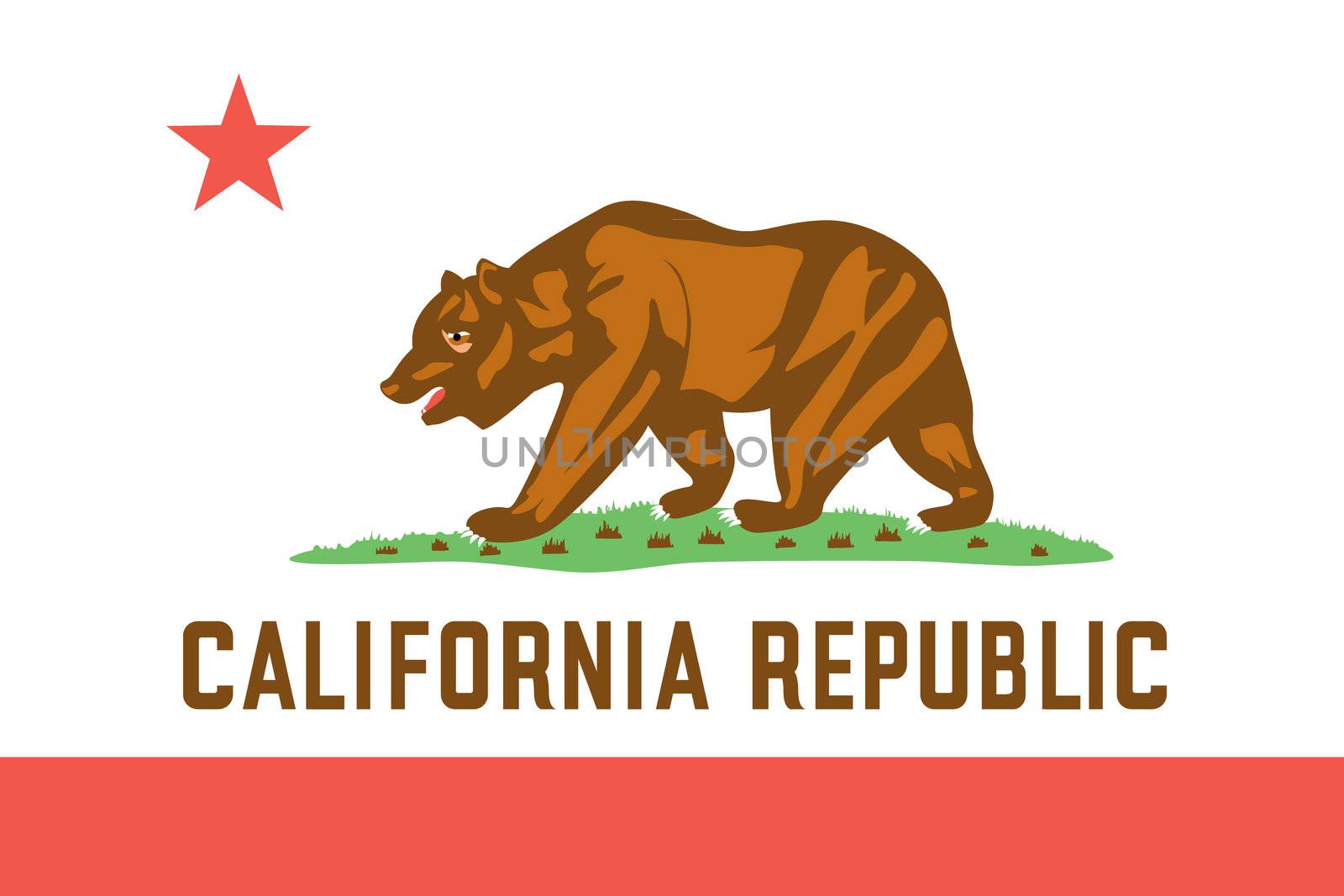 Flag of the American State of California by DragonEyeMedia