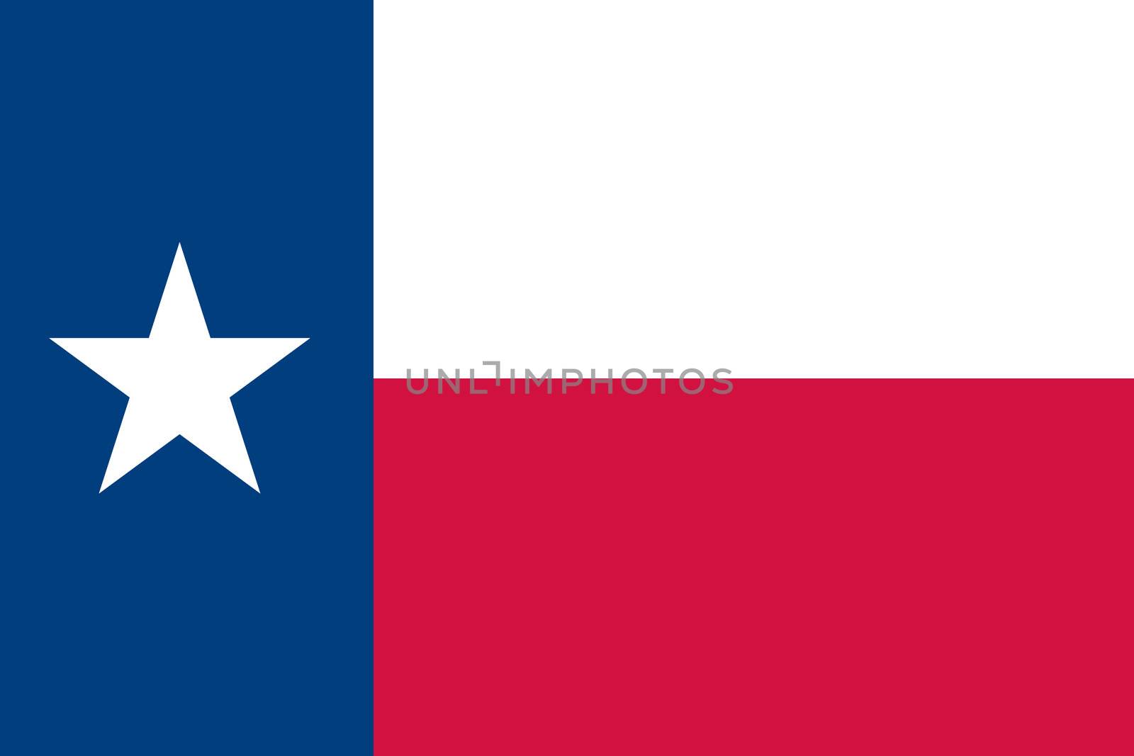 Flag of the American State of Texas by DragonEyeMedia