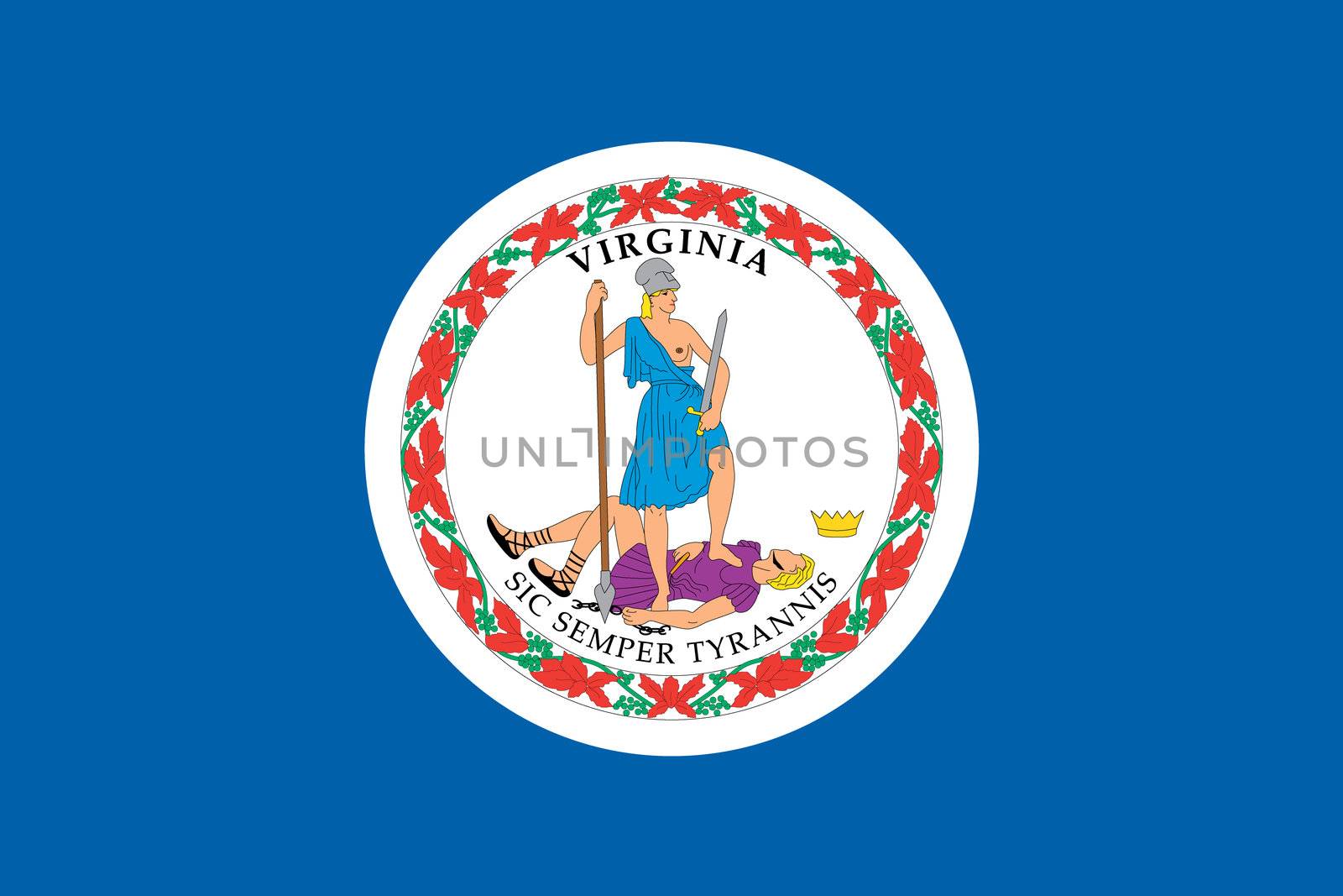 Flag of the American State of Virginia by DragonEyeMedia