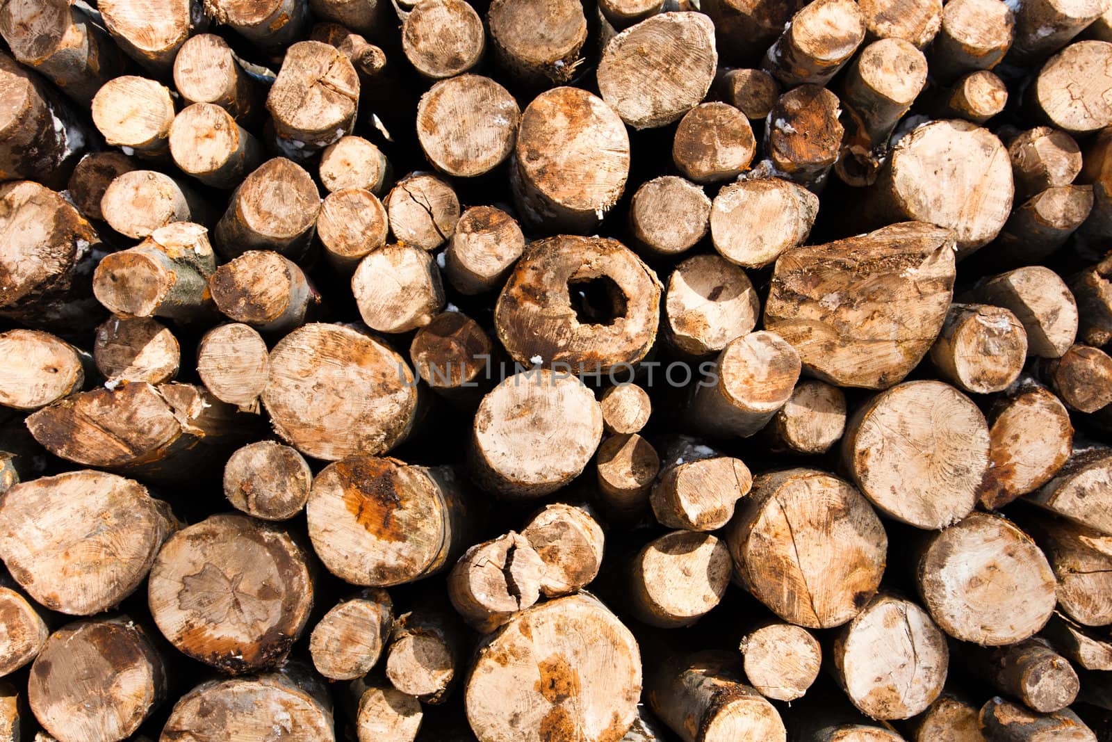 Texture of wooden logs piled up