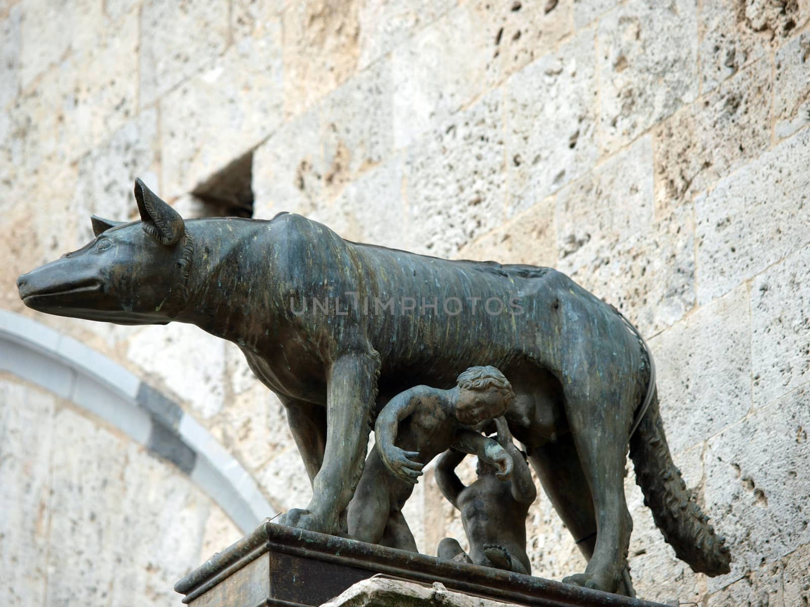 Siena - the town's emblem; a she-wolf suckling the infants Romulus and Remus.