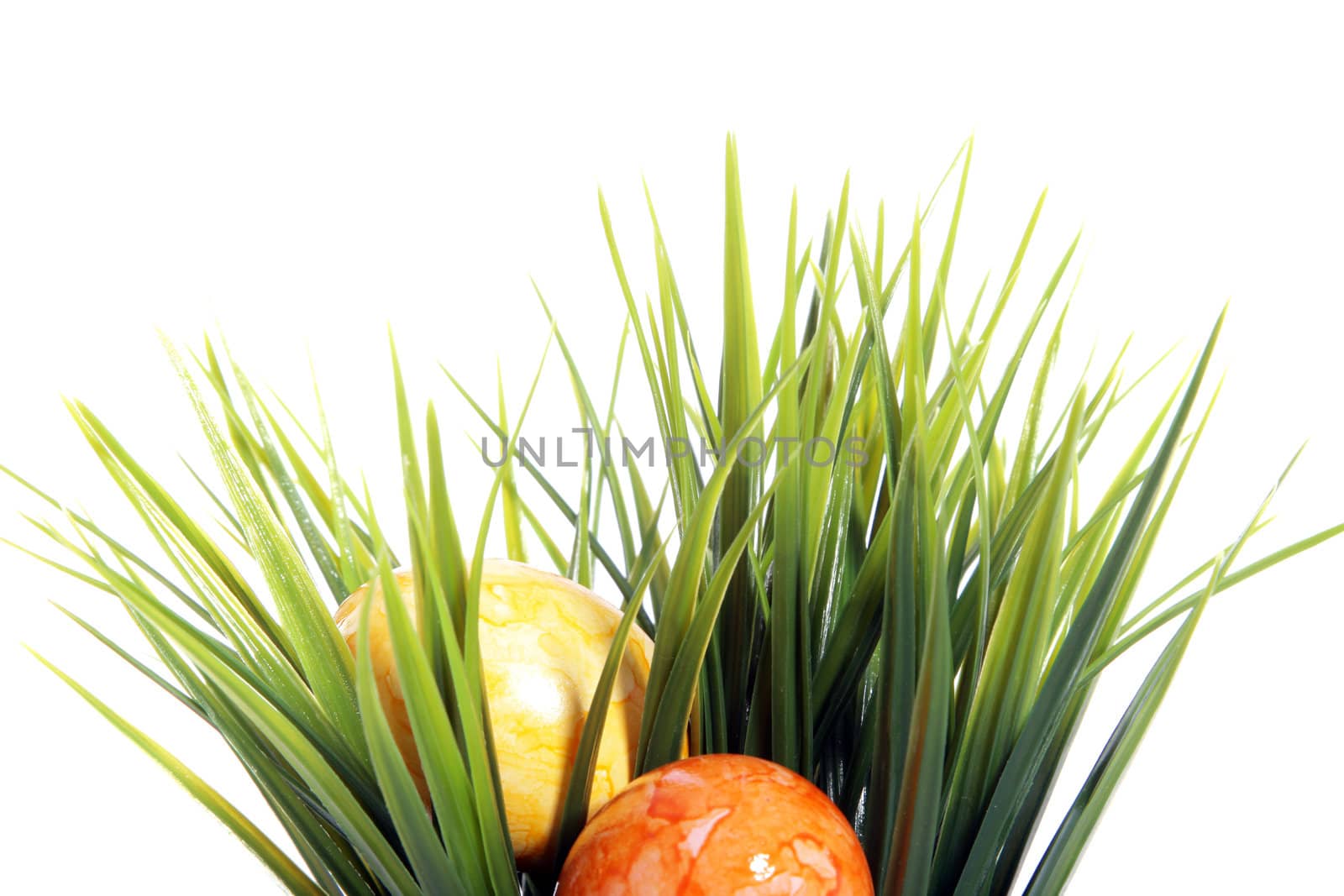 Two colourful marble pattern painted Easter Eggs in orange and yellow hidden in fresh green spring grass isolated on white