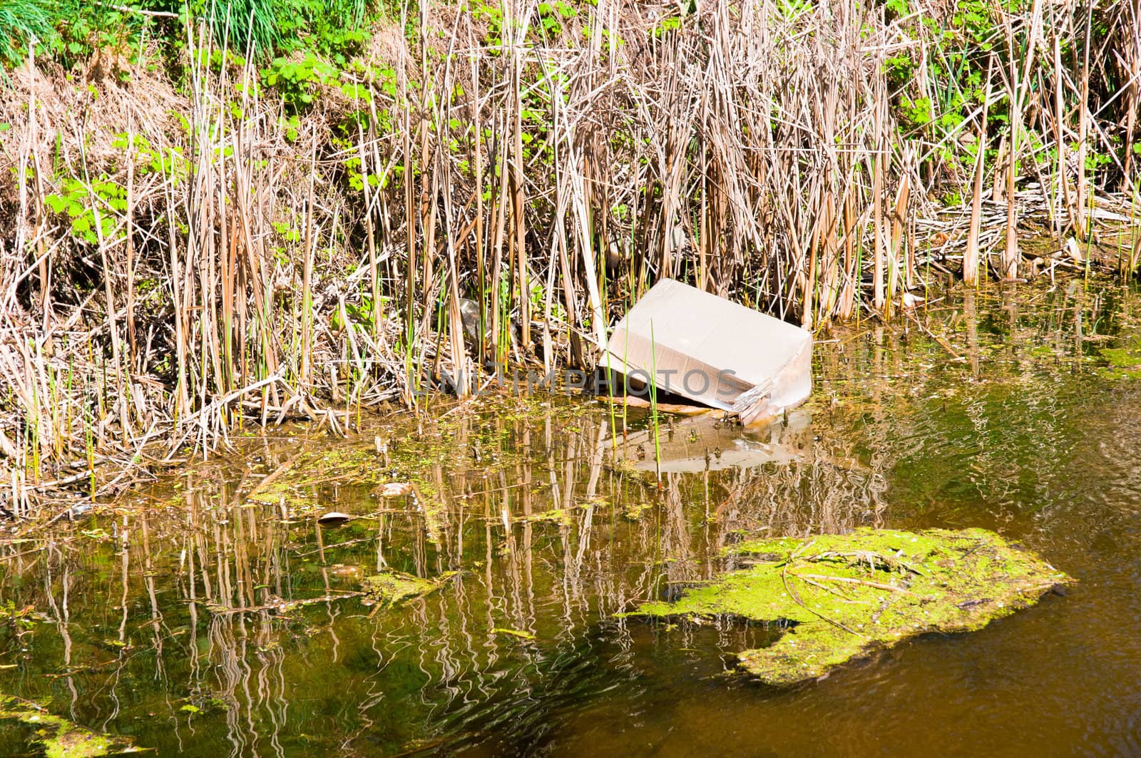 Polluted water with paper box by svedoliver