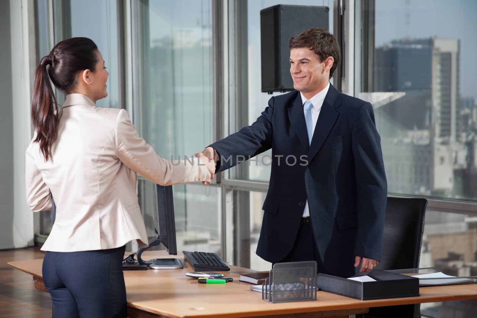 Two professional business people shaking hands