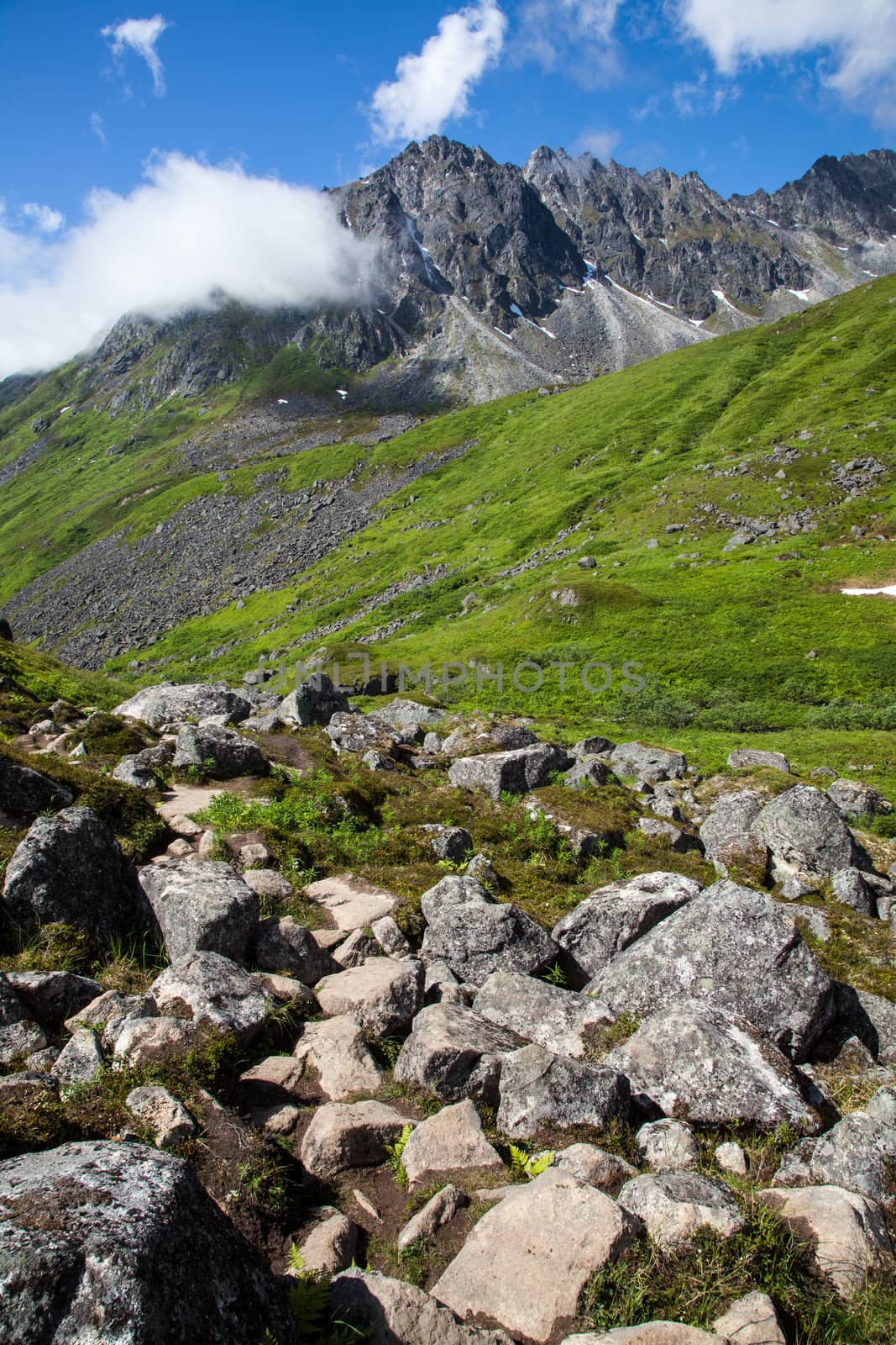 An alpine ridge in full summer greenery