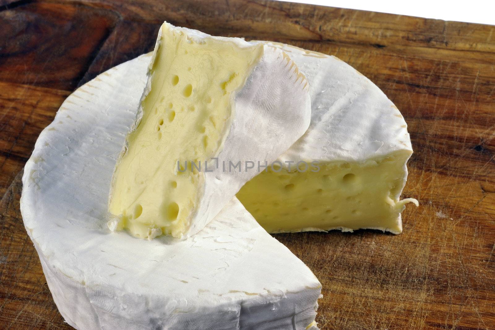 French Camembert cheese of Normandy