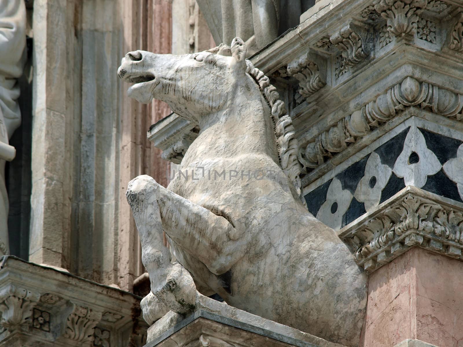 Architectural details of Duomo facade - Siena,Tuscany,Italy. The Duomo of Siena, which was built in the 12th and 13th centuries, is one of the prettiest churches in Gothic style in Italy