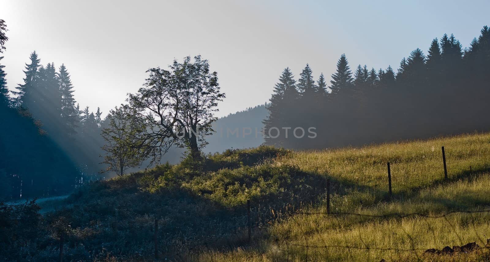 Mystic landscape in the morning