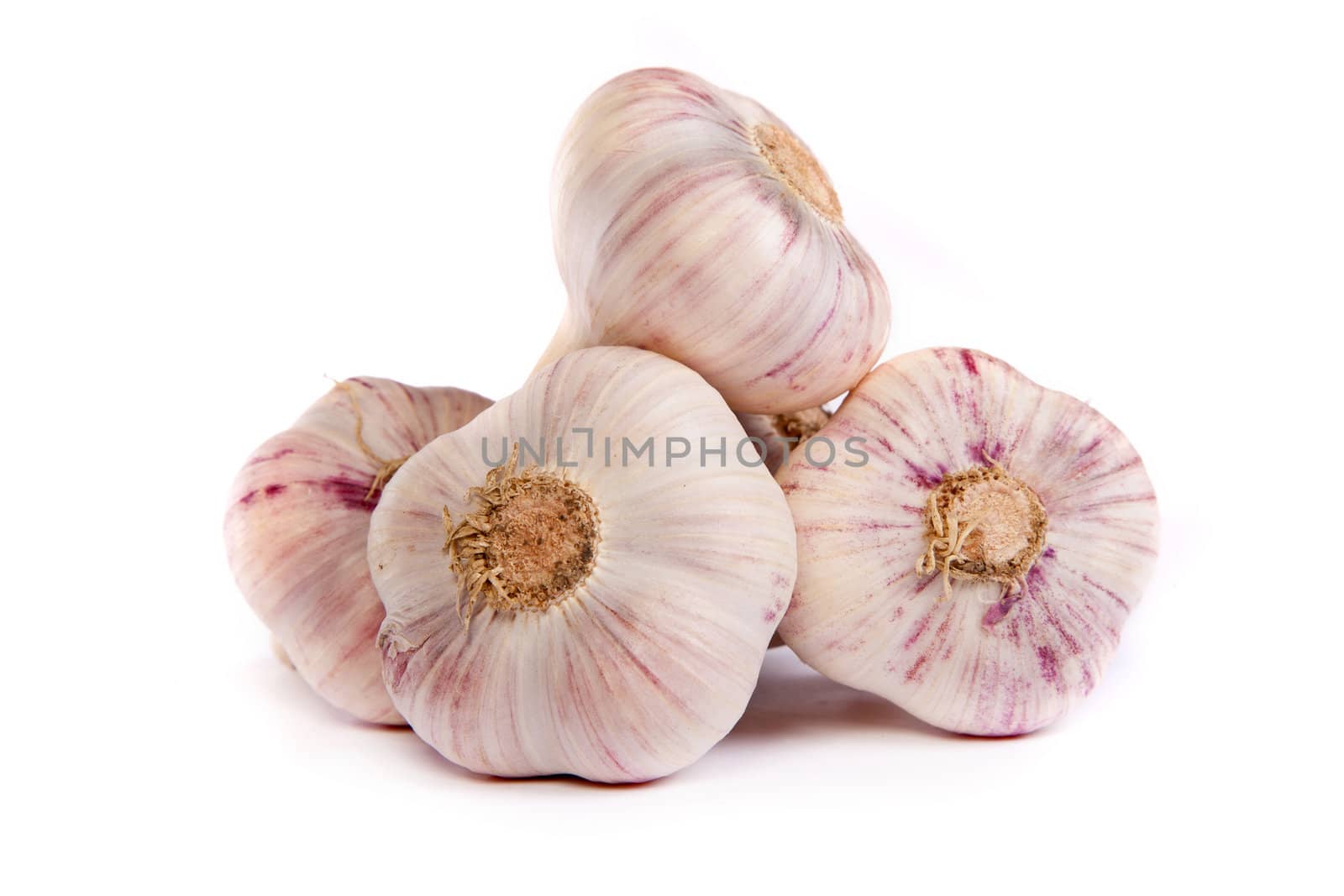 Group of garlics . A heads of garlics isolated on a white background