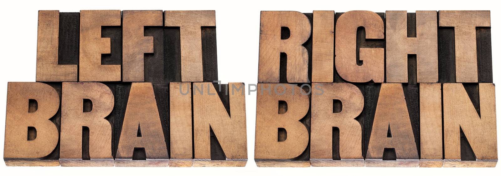 left brain and right brain  -  psychology concept - isolated text in vintage letterpress wood type printing blocks