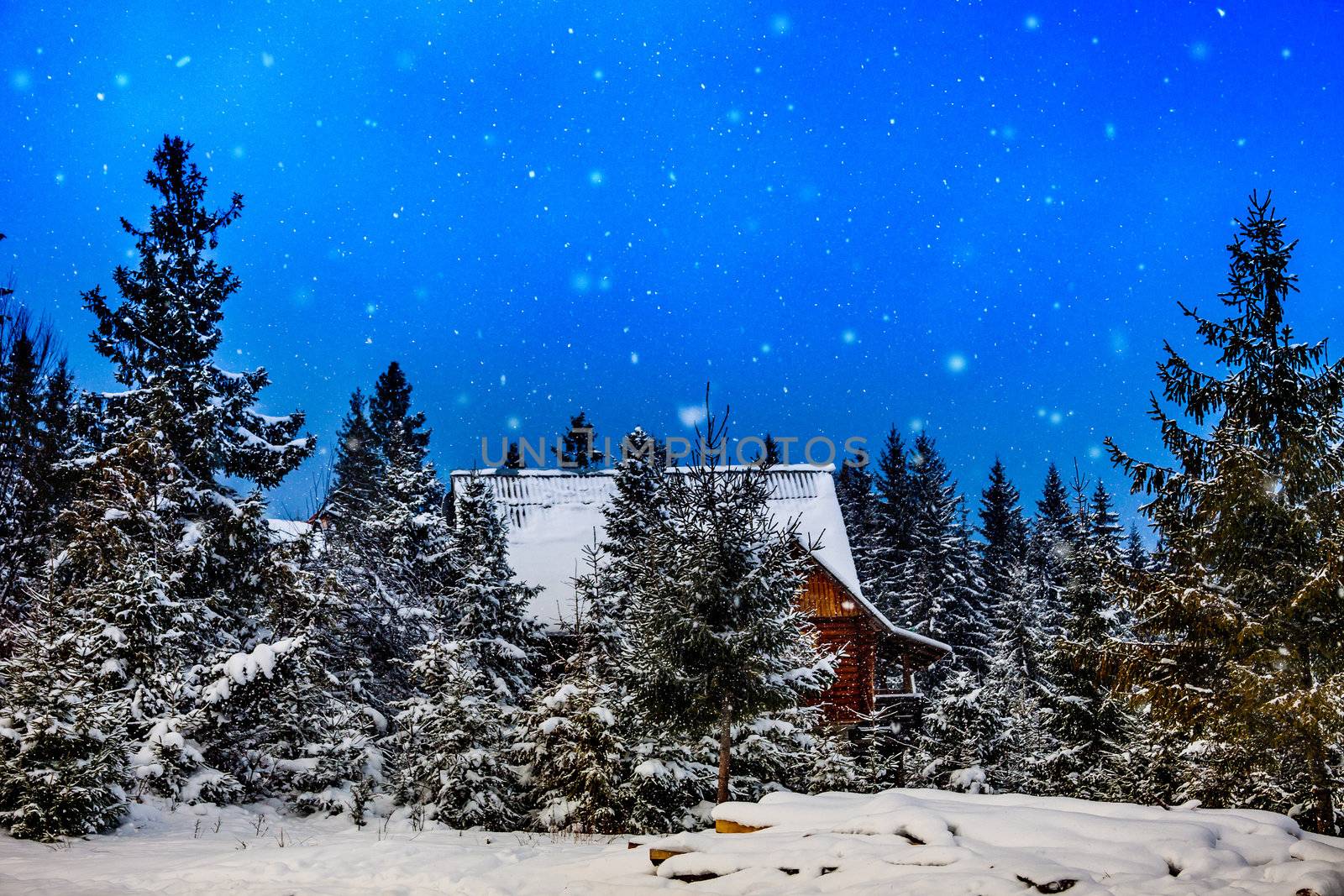 winter rime and snow covered Christmas fir trees on mountainside. Mountain house during the winter