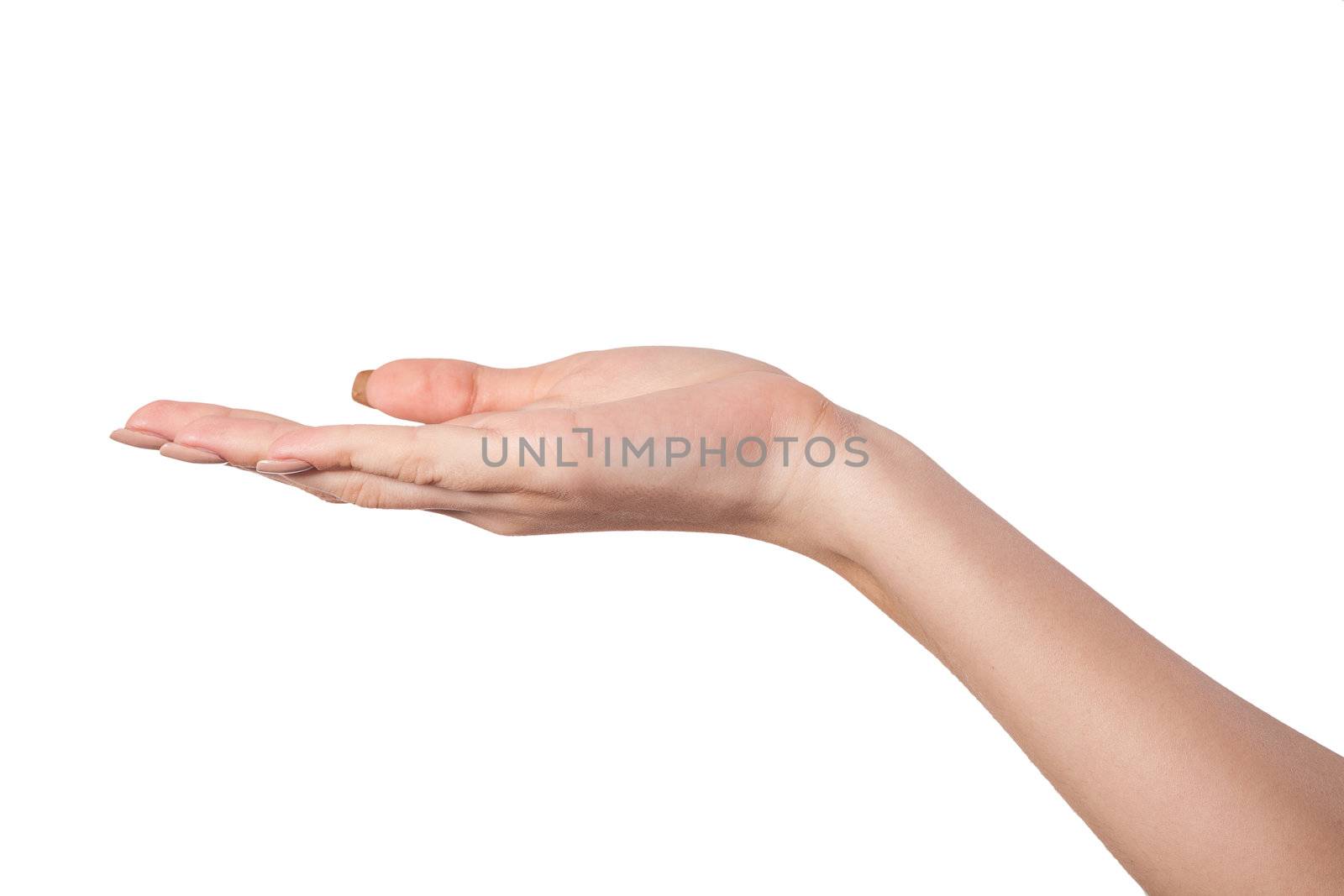 Open palm hand gesture of Female hand. Isolated on a white background.