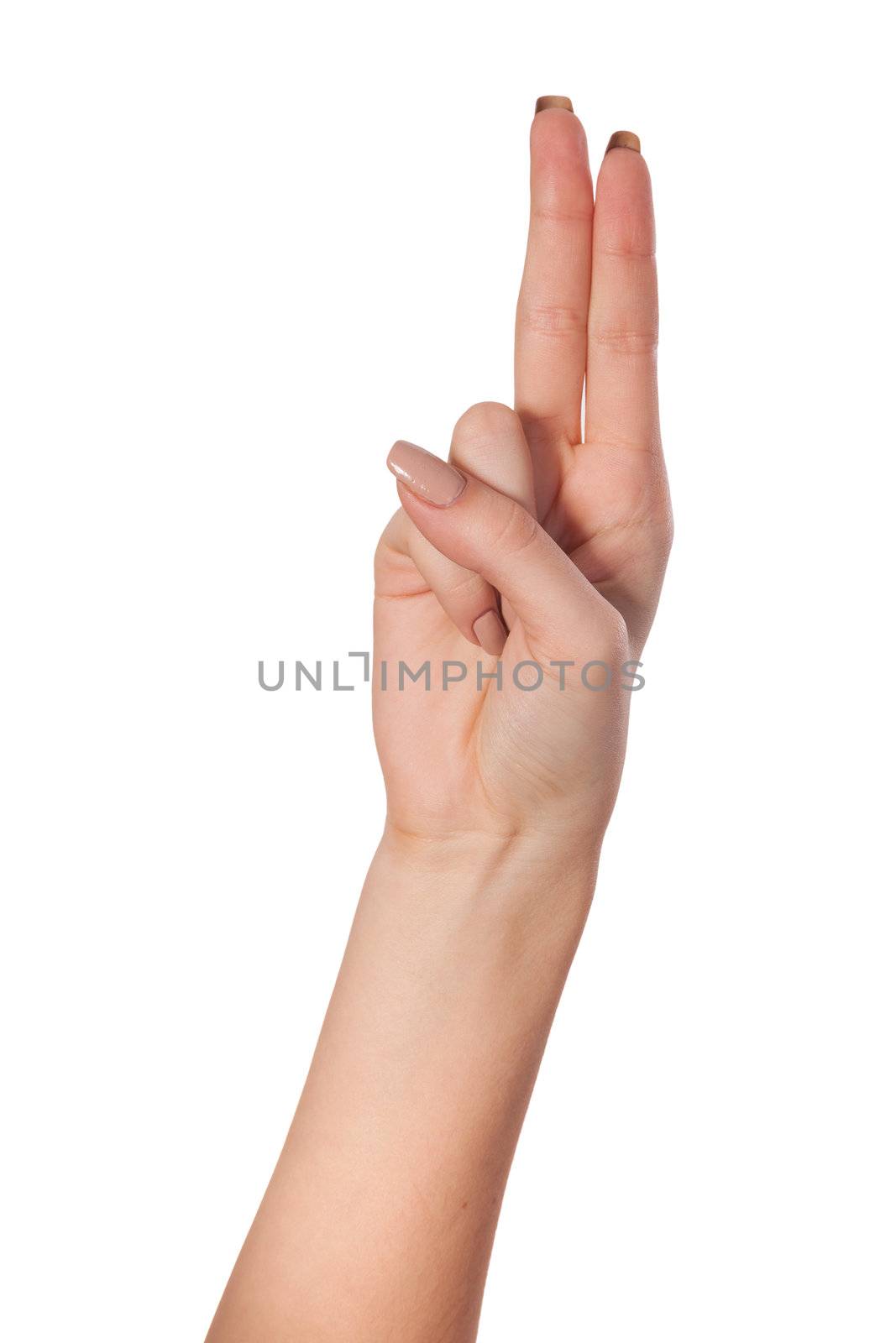 Hand with two fingers up in the peace or victory symbol. Also the sign for the letter V in sign language. Isolated on white.