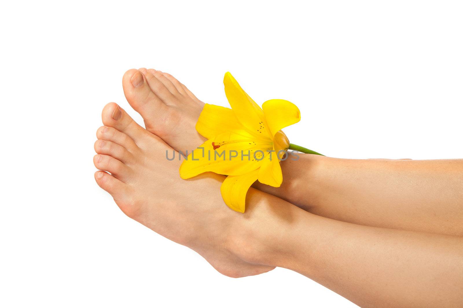 Woman's Feet and legs with flower isolated on white. Manicure and Pedicure concept. Nails. Spa.