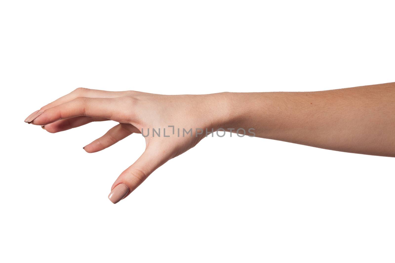 Well shaped Female hand reaching for something isolated on a white background