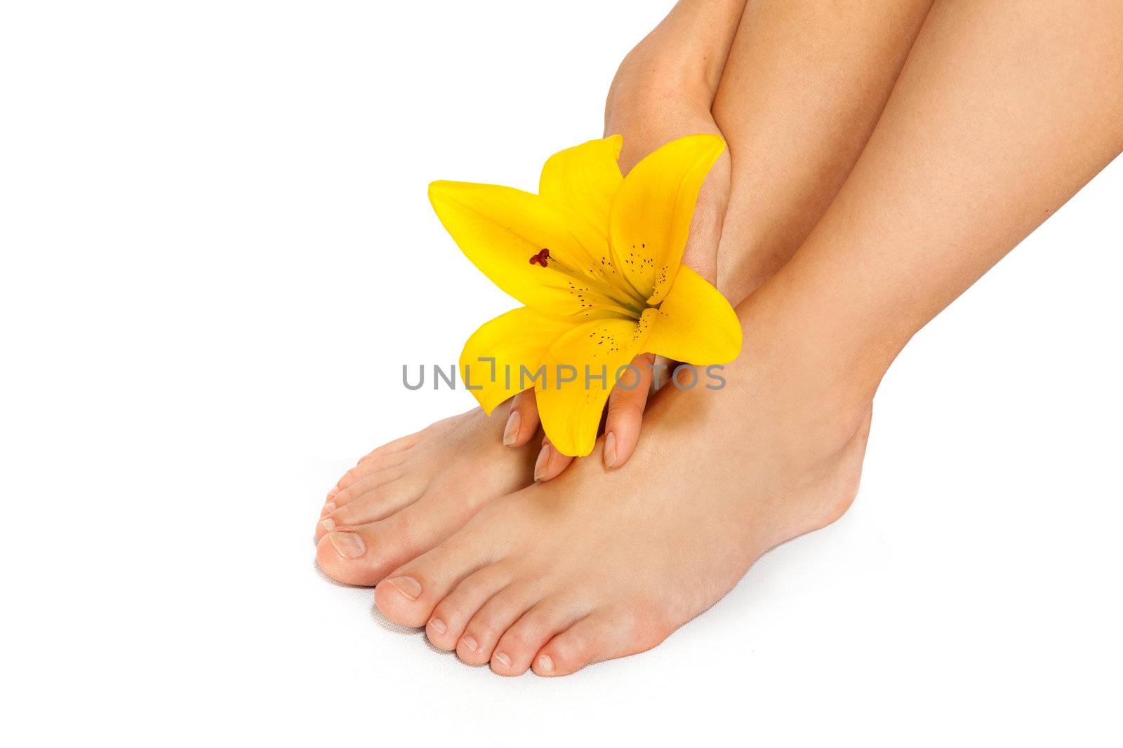 Woman's Feet and legs with flower isolated on white. Manicure and Pedicure concept. Nails. Spa.