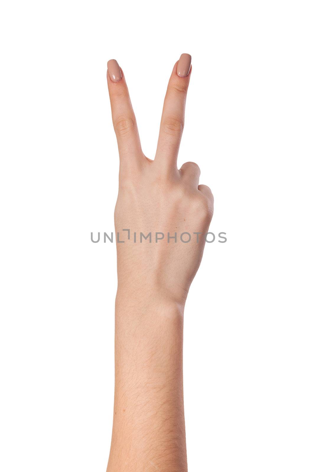 Hand with two fingers up in the peace or victory symbol. Also the sign for the letter V in sign language. Isolated on white.