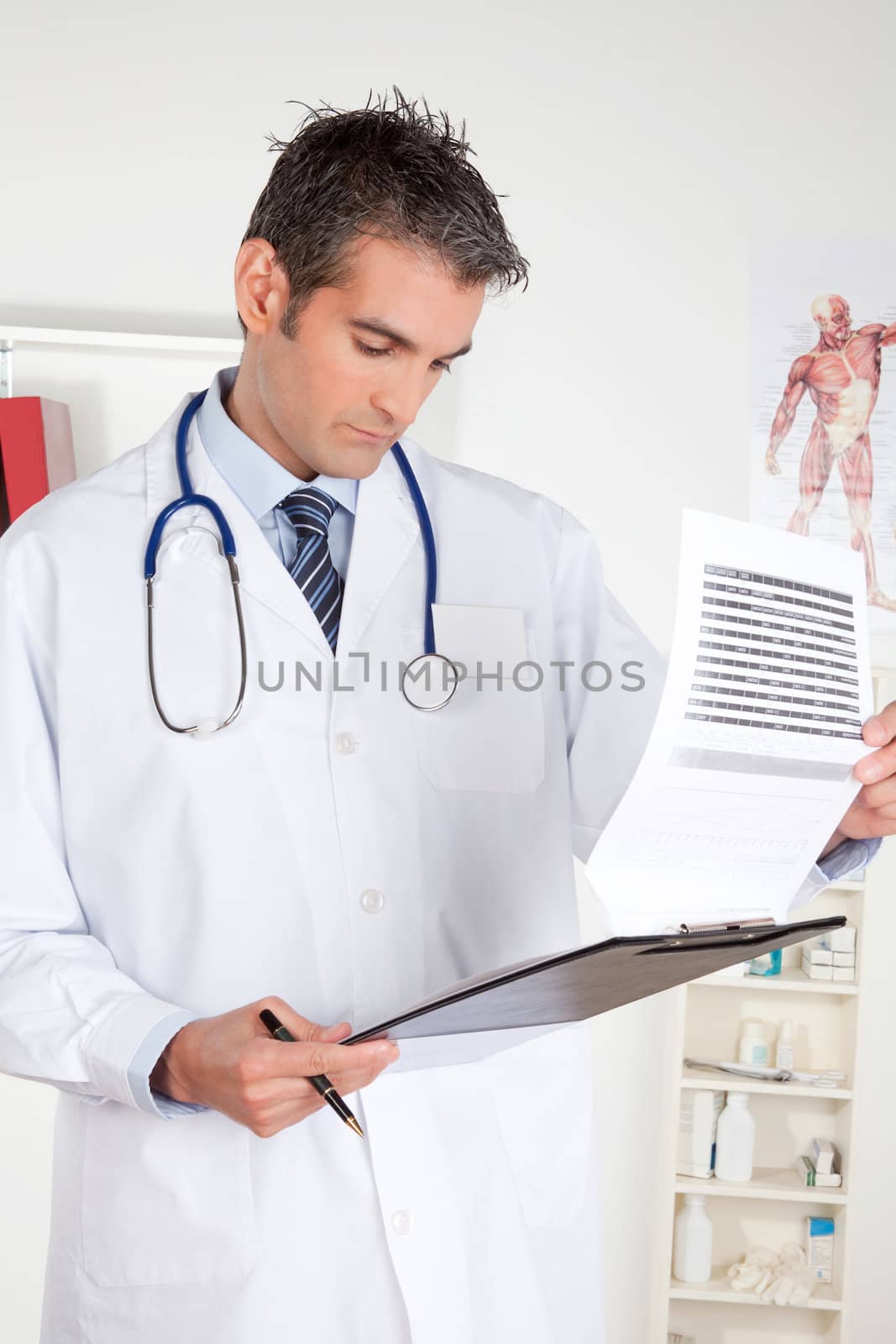 Portrait of doctor looking at clipboard .