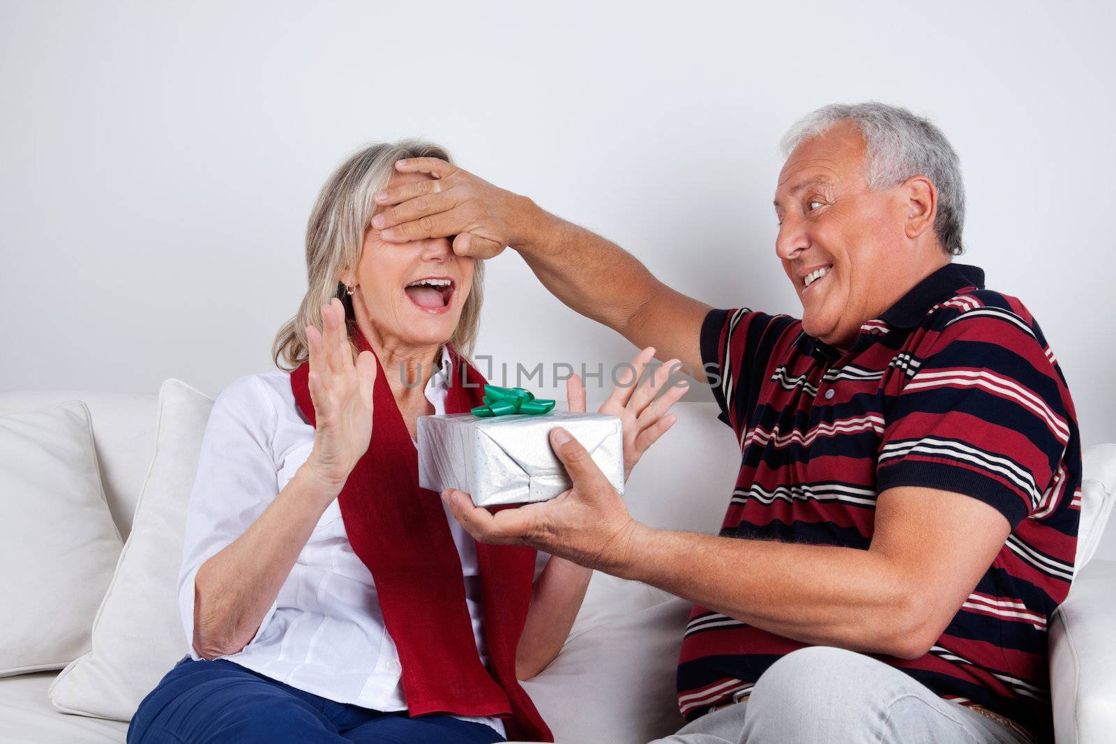 Senior Man Giving Gift to His Wife by leaf