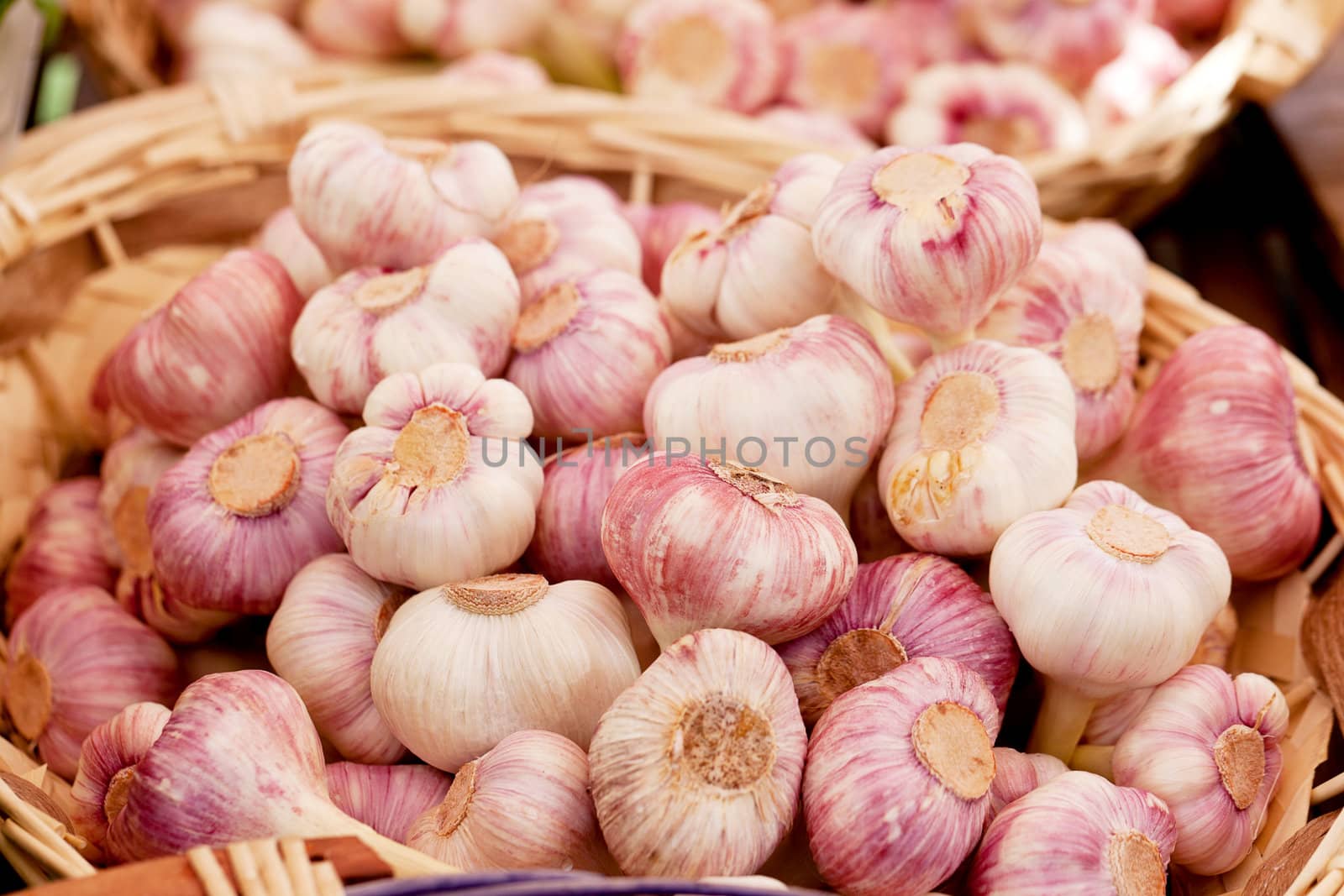 group of purple white garlic in basket macro on market outdoor