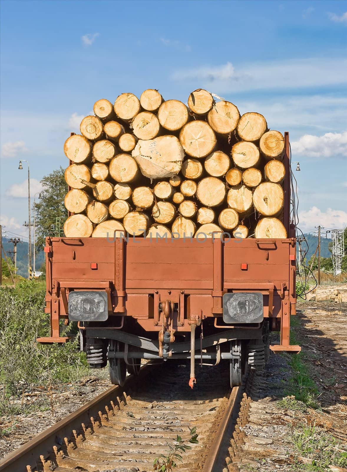 Transporting wooden logs