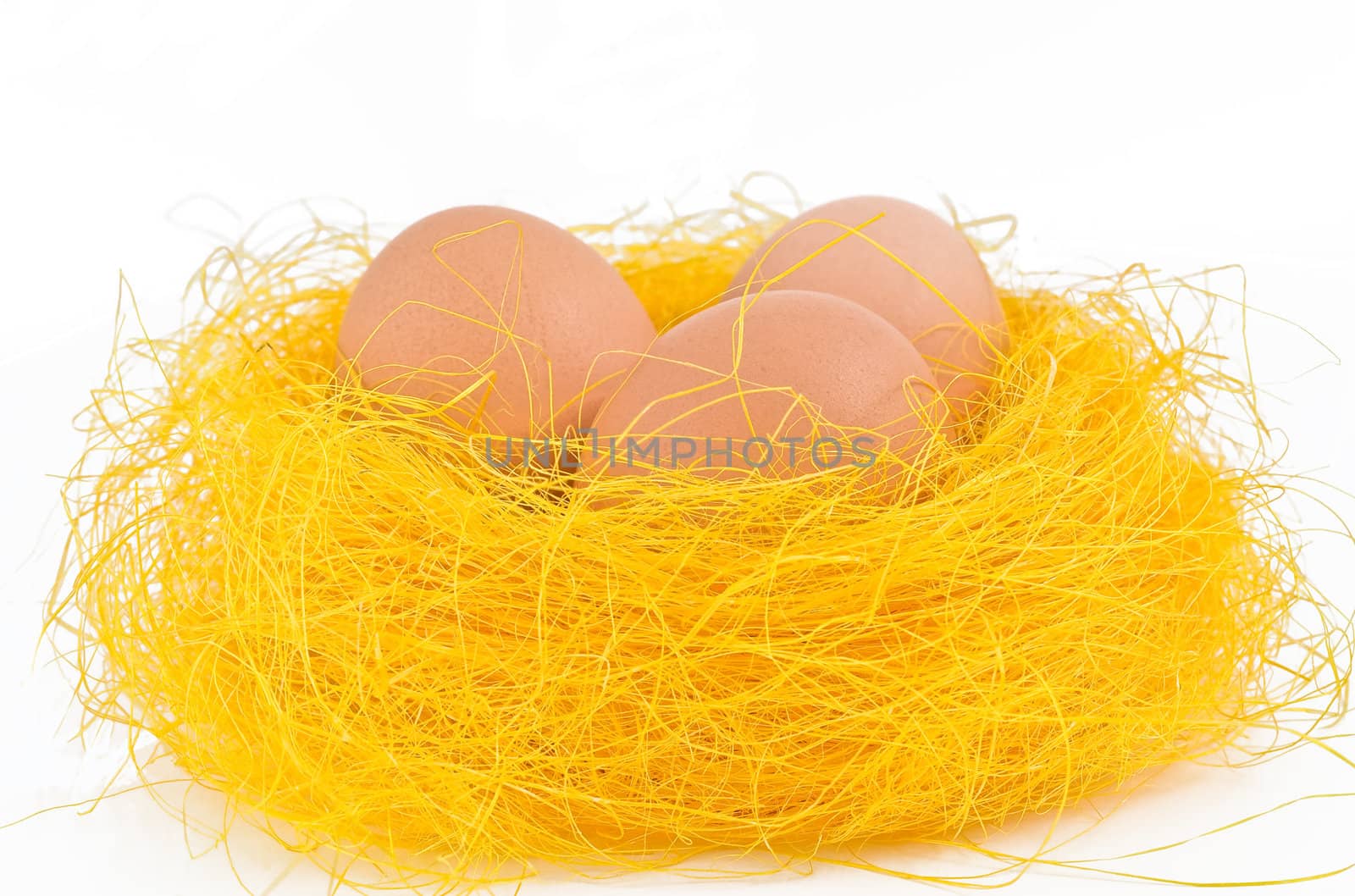 Fresh eggs in the nest