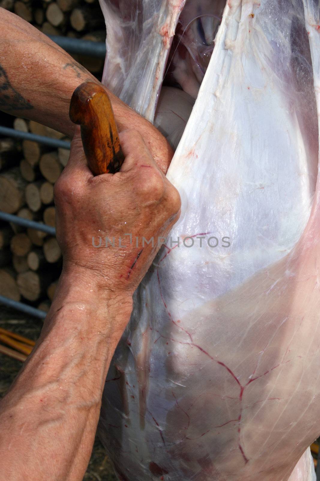 Butchery work, preparing a lamb, traditional way