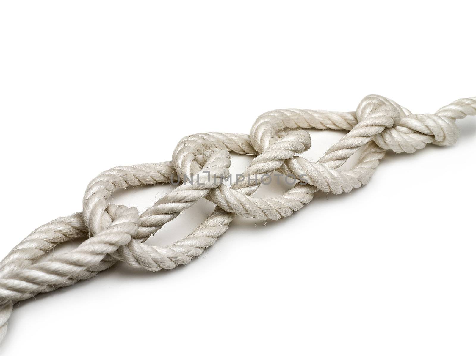 The knot in a rope. on white background