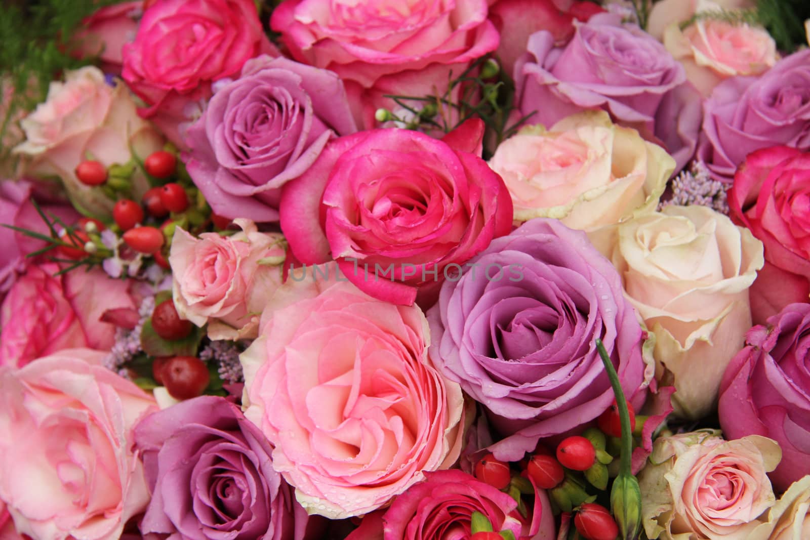 Bridal roses, wedding decorations in purple and pink