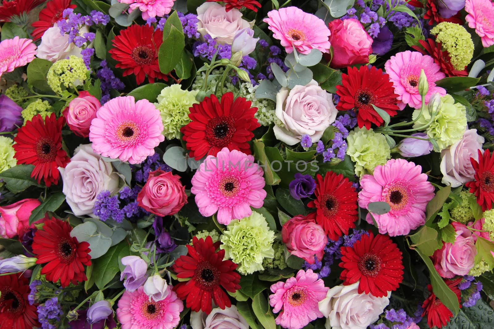 Red and pink gerberas, together with purple roses and other flowers in a wedding arrangement