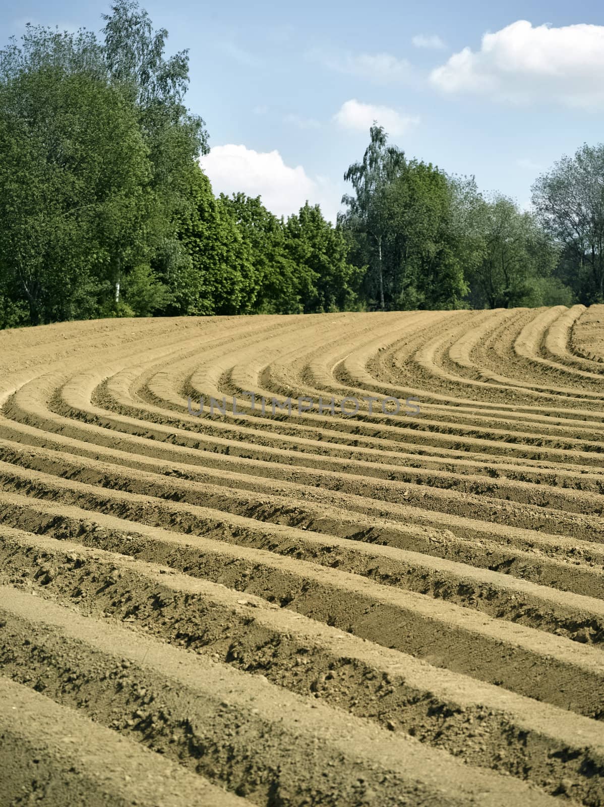 Farm field with furrows