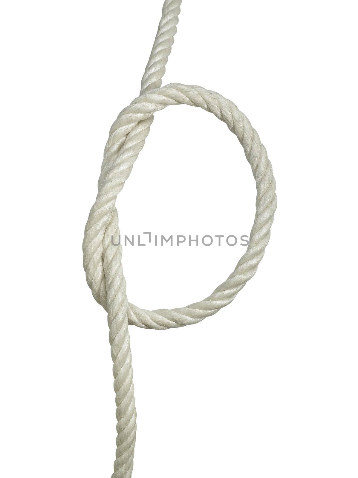 Rope with a knot on white background